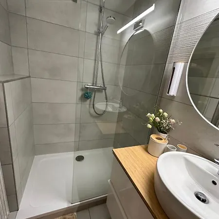 公寓 Dachsteinblick 拉姆绍达赫斯坦