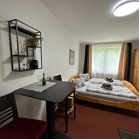 Dachsteinblick 公寓