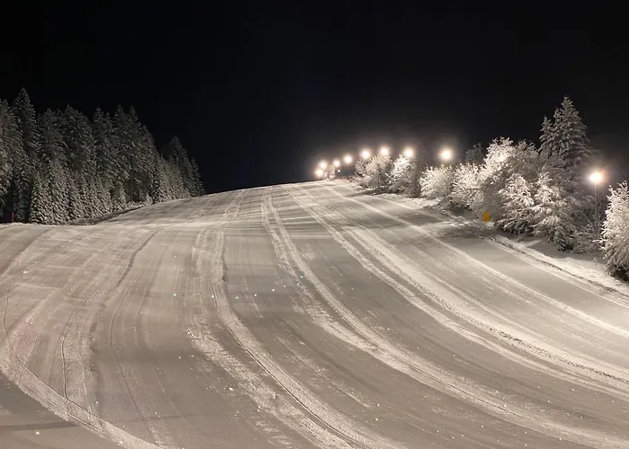 Appartamento Dachsteinblick