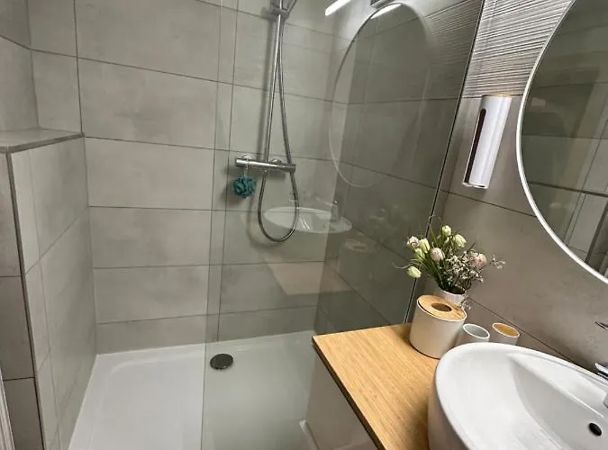 公寓 Dachsteinblick 拉姆绍达赫斯坦