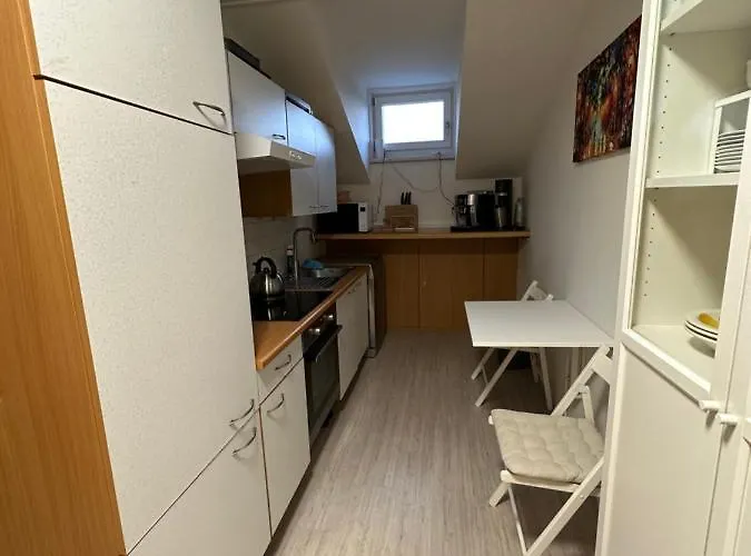 Dachsteinblick * 拉姆绍达赫斯坦