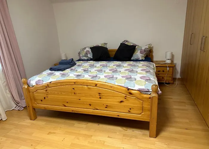 Dachsteinblick * 拉姆绍达赫斯坦