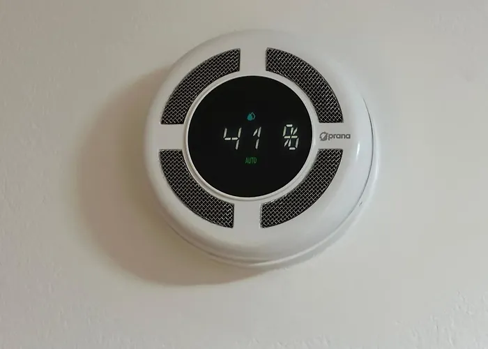 公寓 Dachsteinblick 拉姆绍达赫斯坦