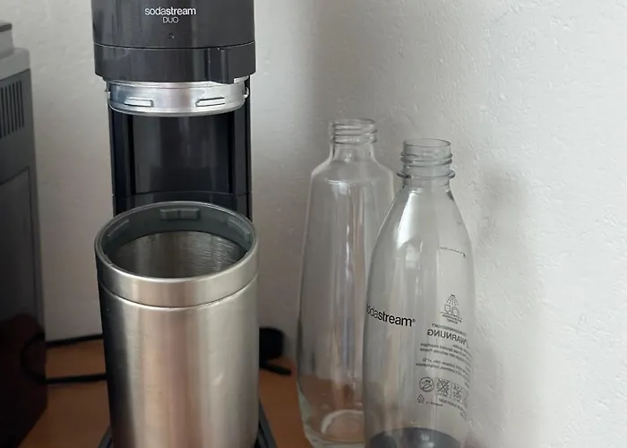 Dachsteinblick * 拉姆绍达赫斯坦